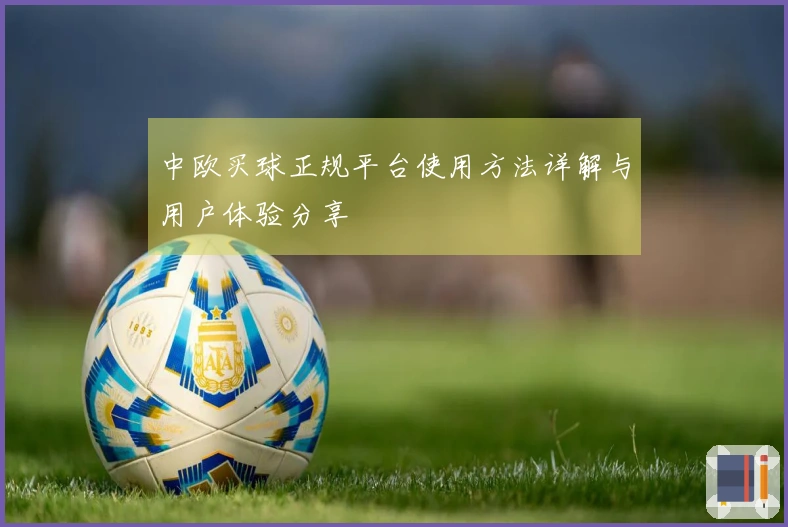 中欧买球正规平台使用方法详解与用户体验分享