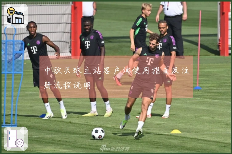 中欧买球主站客户端使用指南及注册流程说明