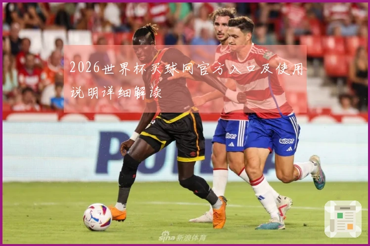 2026世界杯买球网官方入口及使用说明详细解读