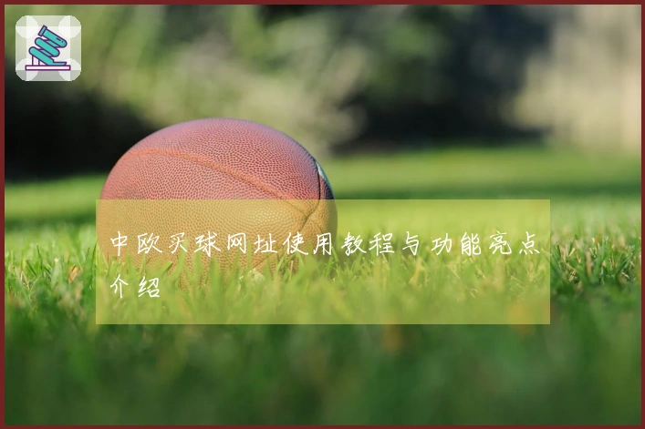 中欧买球网址使用教程与功能亮点介绍