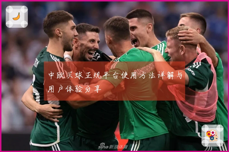 中欧买球正规平台使用方法详解与用户体验分享