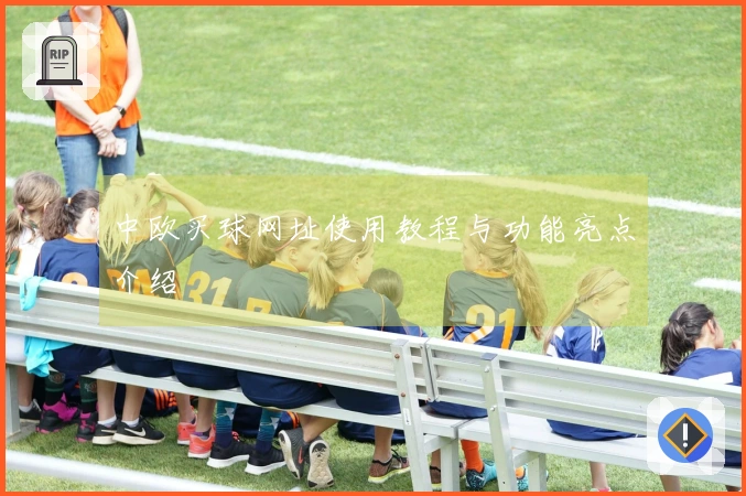 中欧买球网址使用教程与功能亮点介绍