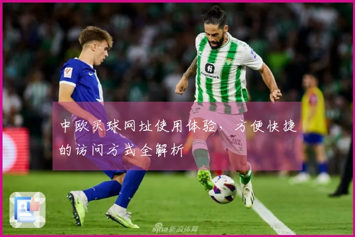 中欧买球网址使用体验，方便快捷的访问方式全解析
