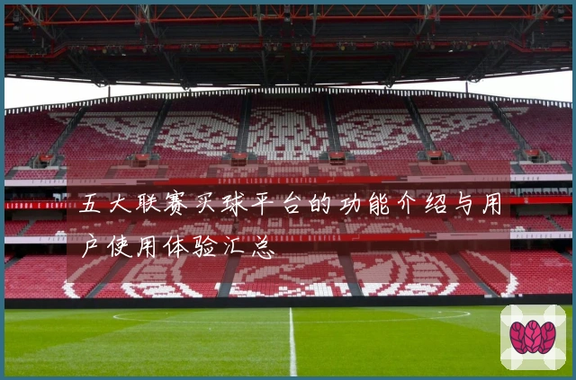 五大联赛买球平台的功能介绍与用户使用体验汇总