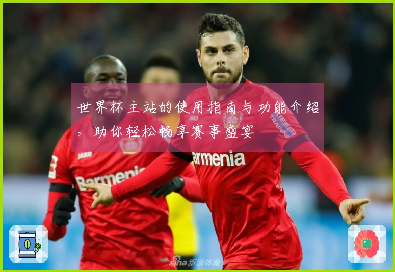 世界杯主站的使用指南与功能介绍，助你轻松畅享赛事盛宴