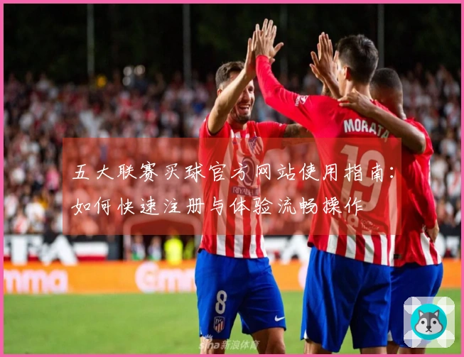 五大联赛买球官方网站使用指南：如何快速注册与体验流畅操作