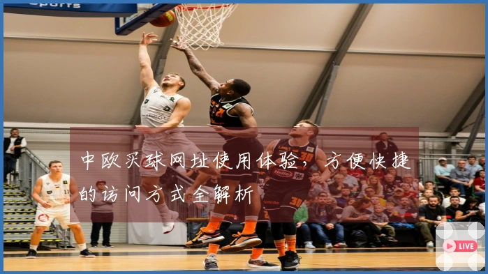 中欧买球网址使用体验，方便快捷的访问方式全解析