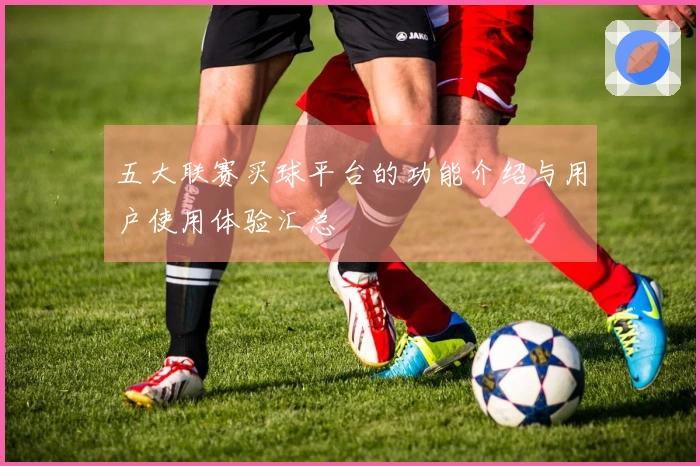 五大联赛买球平台的功能介绍与用户使用体验汇总